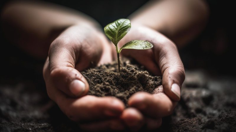 Obowiązek recyklingu opakowań